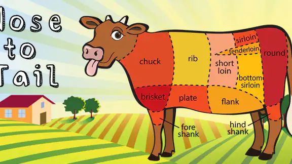 Nose to Tail: Cuts of Meat screenshot