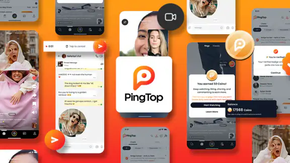 PingTop screenshot