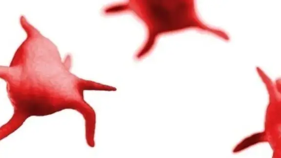 Platelet Counter screenshot