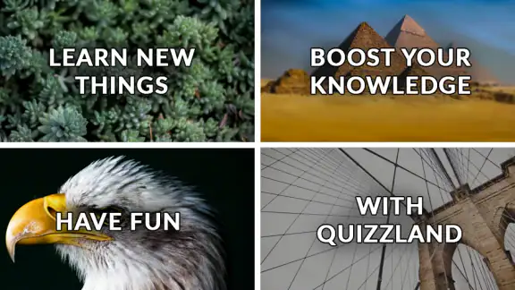 QuizzLand. Quiz & Trivia game screenshot