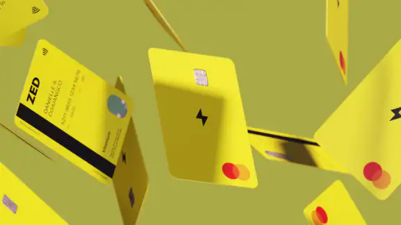 Zed Credit Card screenshot