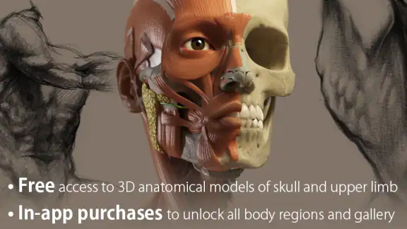 3D Anatomy for the Artist screenshot