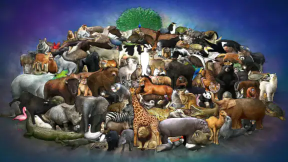 Animal Sounds screenshot