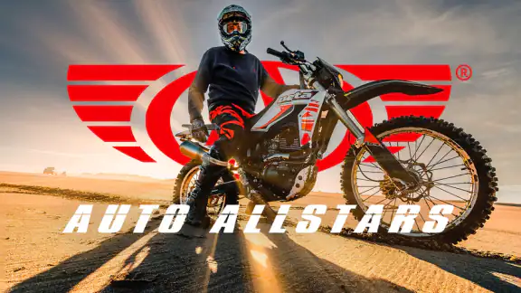 Auto Allstars screenshot