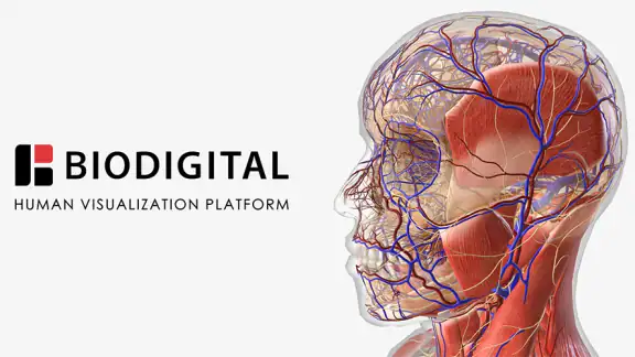 BioDigital Human - 3D Anatomy screenshot