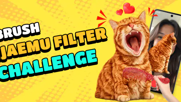 Brush Jjaemu Filter Challenge screenshot