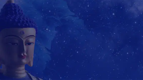Chữa Bệnh Theo Chu Dịch screenshot
