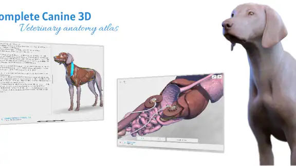 Complete Canine 3D - anatomy screenshot
