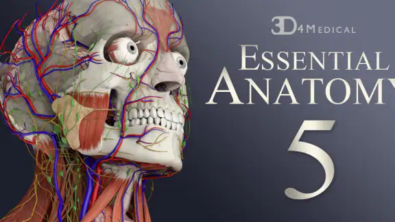 Essential Anatomy 5 screenshot