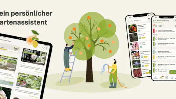 Gardify: Garten & Pflegeplan screenshot
