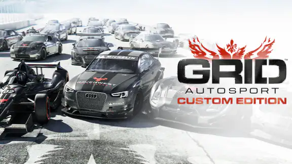 GRID™ Autosport Custom Edition screenshot