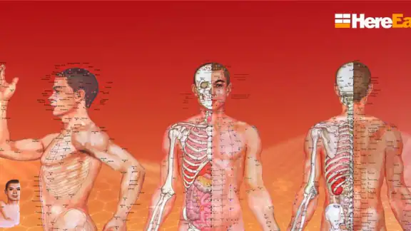 Huyệt vị Kinh Mạch screenshot