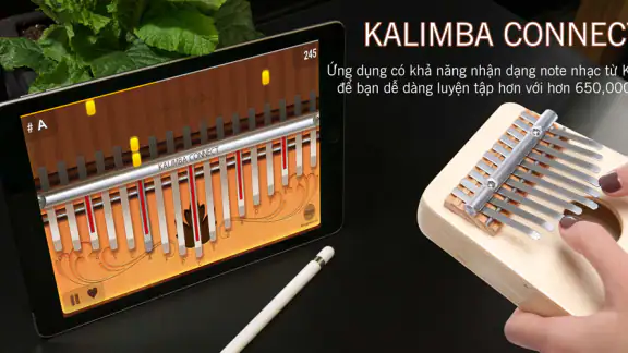 Kalimba Connect screenshot