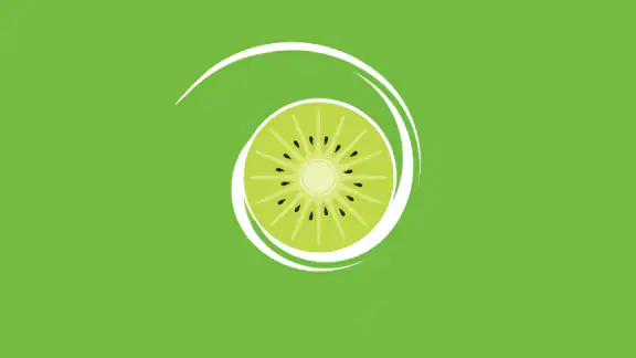 Kiwi Browser - Fast & Quiet screenshot