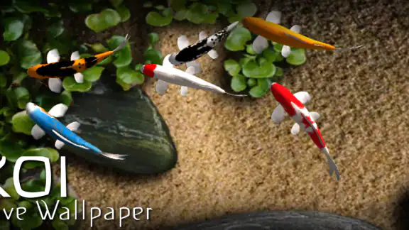 Koi Live Wallpaper screenshot