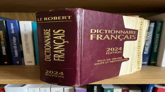 Lerobert Dictionnaire Larousse screenshot