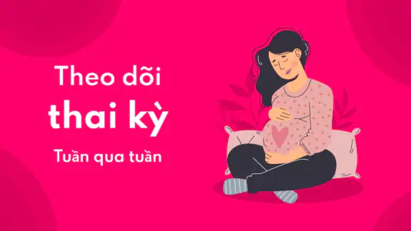 Máy tính thai kỳ tuần qua tuần screenshot