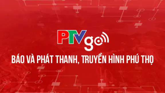 PTVgo cho Android TV screenshot
