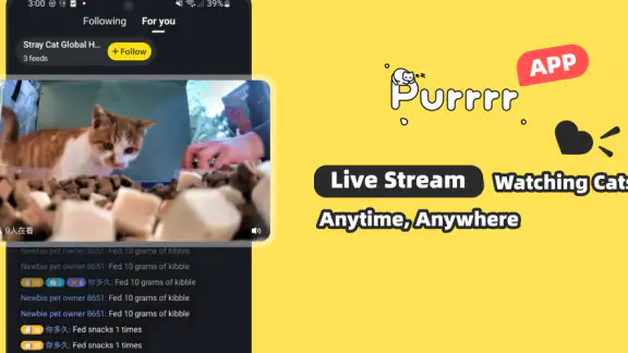 Purrrr screenshot