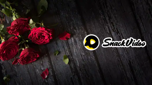 SnackVideo screenshot