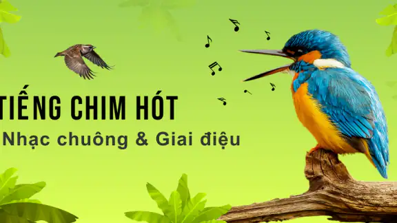 Tiếng chim hót screenshot