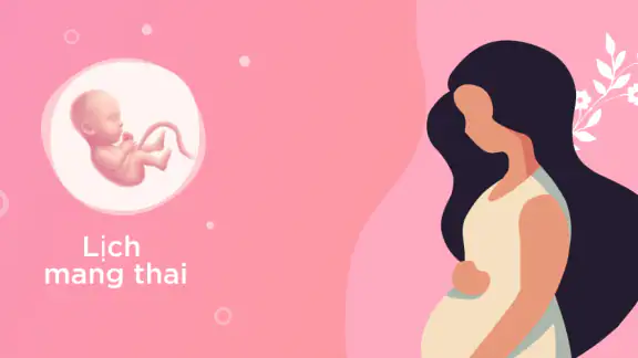 Trợ lý mẹ bầu. Theo dõi thai screenshot