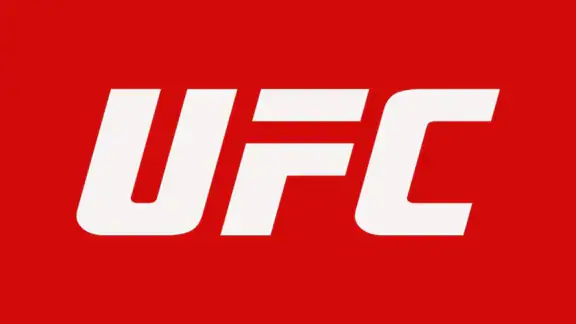 UFC screenshot