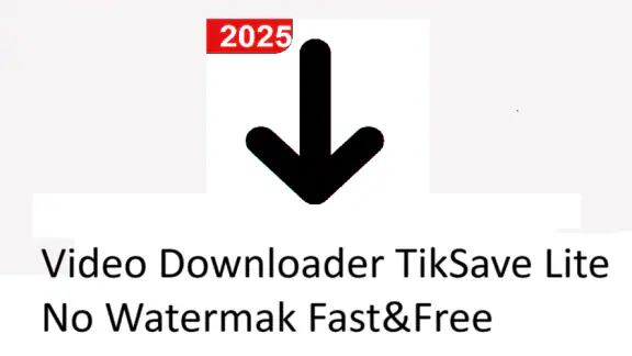 Video Downloader TSaver screenshot