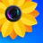 Photo Gallery: Album & Vault icon