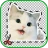 簡単ステッカーメーカー：写真編集 icon