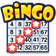 Bingo Drive: Fun Bingo Games