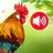 Animal sounds & wallpaper icon