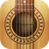 Real Guitar: acoustic electric