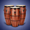 Real Percussion: drum set icon