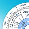 Obstetric Calculator icon