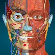 Anatomy Learning - 3D解剖学 icon