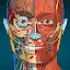 Anatomy Learning - 3D解剖学 icon
