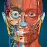 Anatomy Learning - 3D解剖学 icon