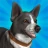 Pocket Paws: perros adorables icon