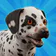 Pocket Paws: perros adorables