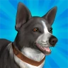 Pocket Paws: perros adorables icon