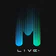 極光LIVE-METALIGHT