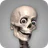 Skelly: Poseable Anatomy Model icon