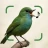Vögel Bestimmen Vogelstimmen icon