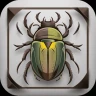 Käfer & Insekten Bestimmen icon