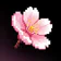 AISakura: AI Video Experiences