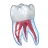 Ilustraciones dentales icon
