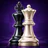 Chess - Online & Offline icon