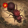Vương Quốc Kiến - Gamota icon