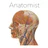 Anatomist - The Anatomy Game icon
